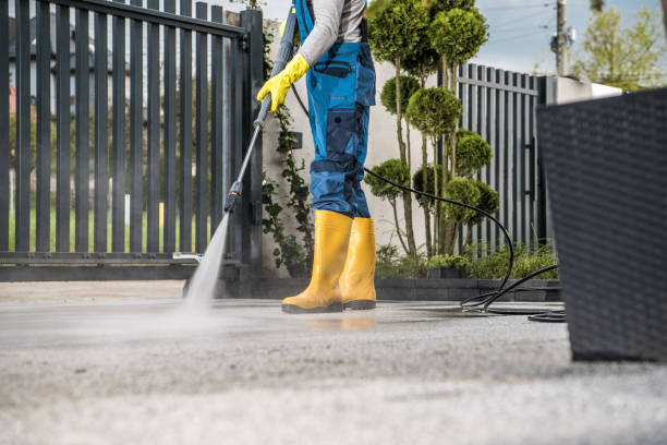 Best Roof Power Washing Services  in Westwood Lakes, FL